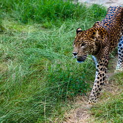 2011-07-05-zoo