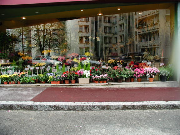 pariz kvetinarstvo